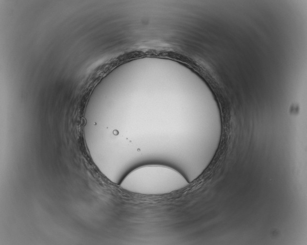X0000114021063200910021011