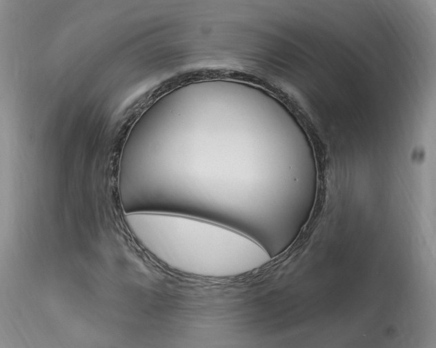X0000114021064200910021011