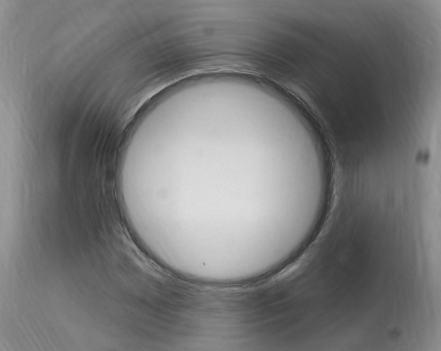 X0000114021065200910021011