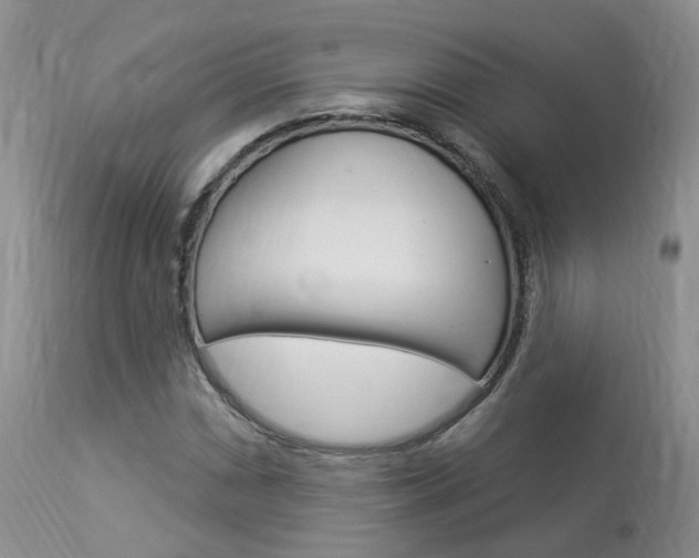 X0000114021066200910021011