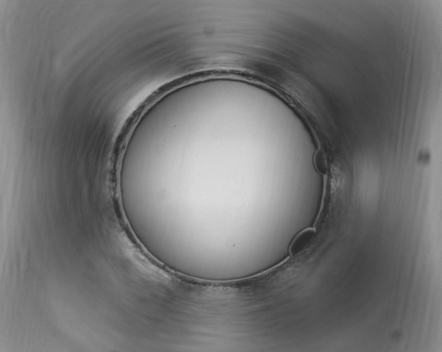 X0000114021068200910021011