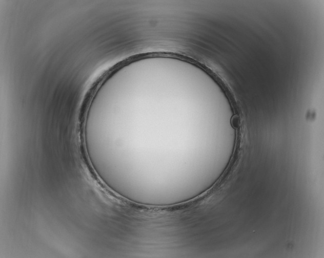 X0000114021072200910021011