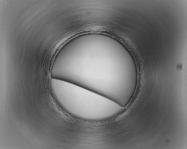 X0000114021073200910021011