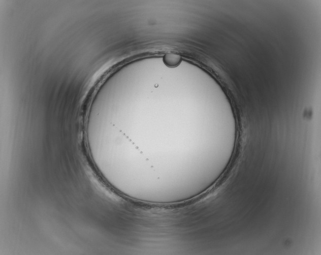 X0000114021075200910021011