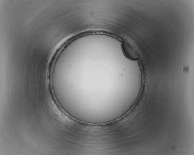 X0000114021076200910021011