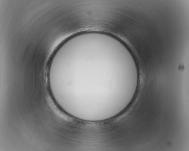 X0000114021078200910021011