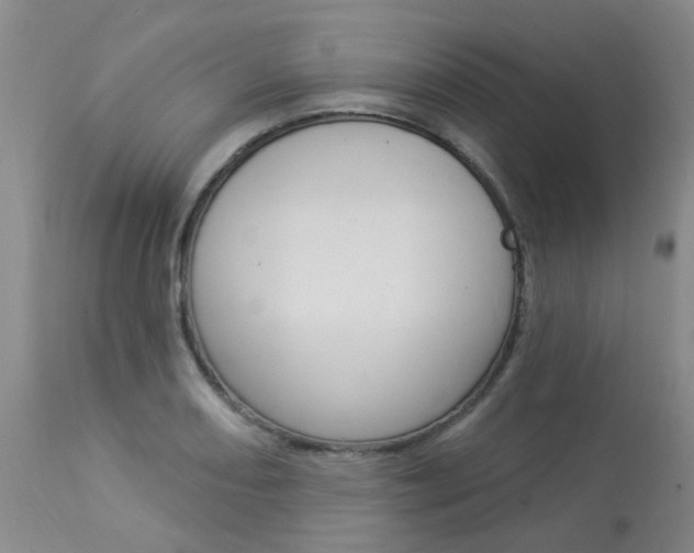 X0000114021082200910021011