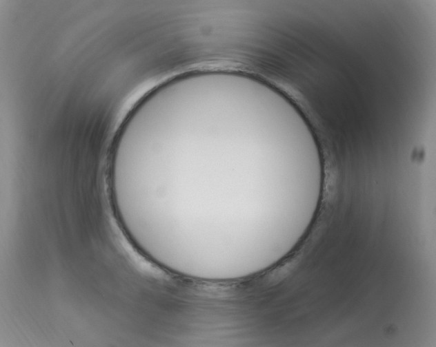 X0000114021086200910021011
