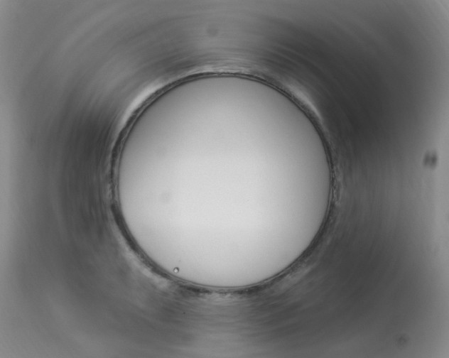 X0000114021087200910021011
