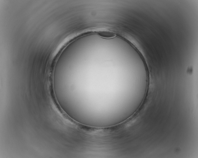 X0000114021093200910021011