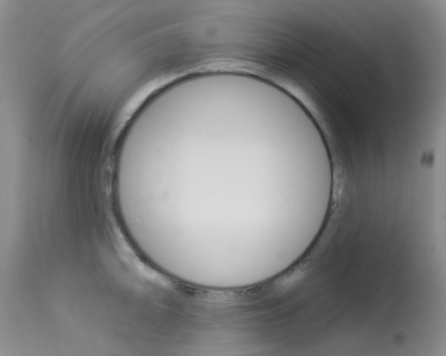 X0000114021094200910021011