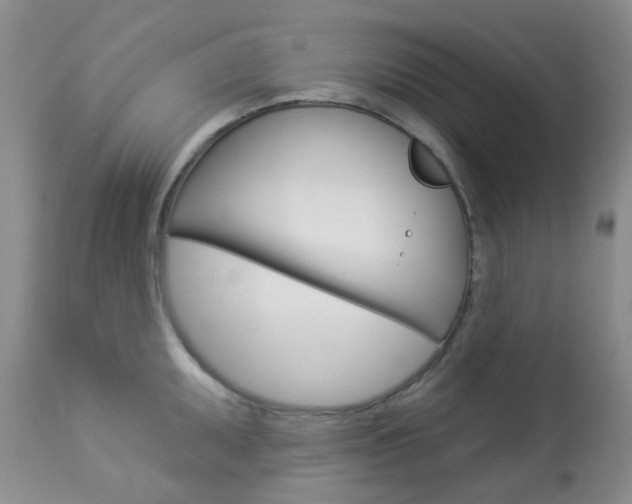 X0000114021095200910021011