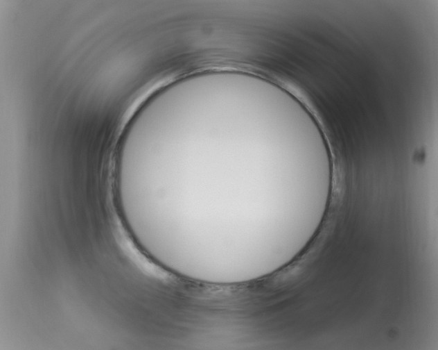 X0000114021098200910021011