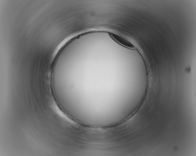 X0000114021100200910021011