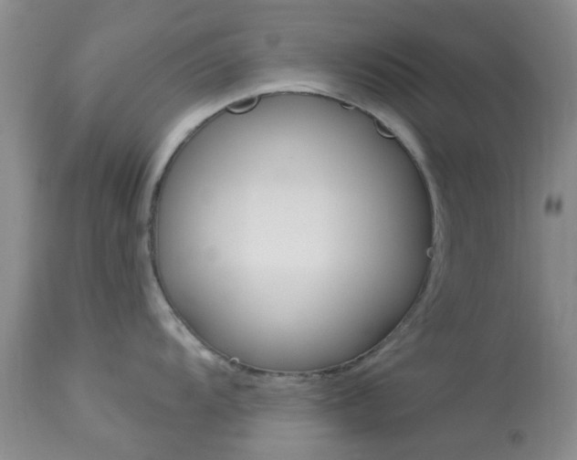 X0000114021104200910021011