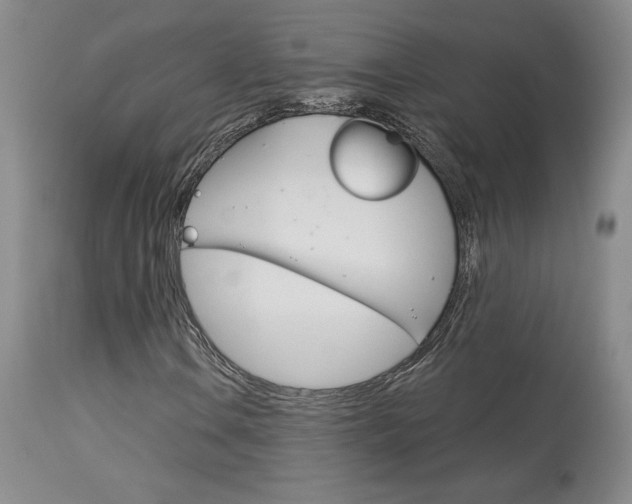 X0000114021106200910021010