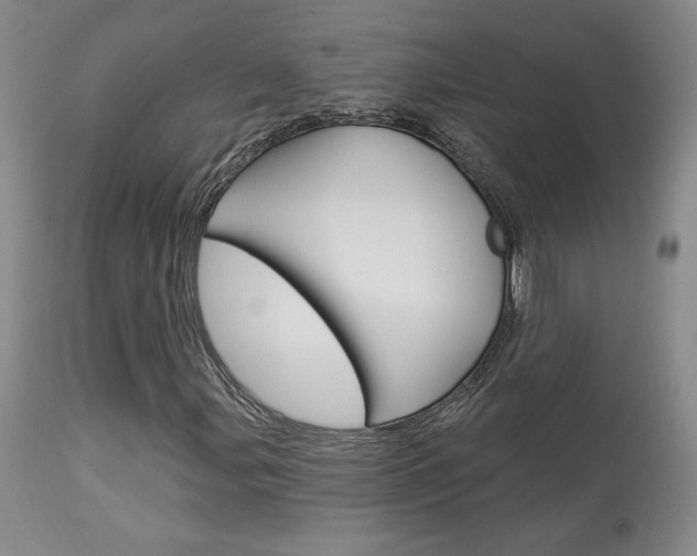 X0000114021107200910021010