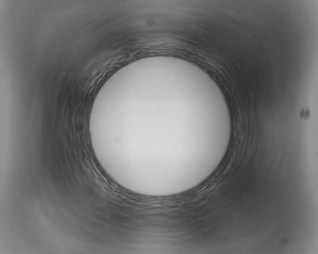 X0000114021108200910021010