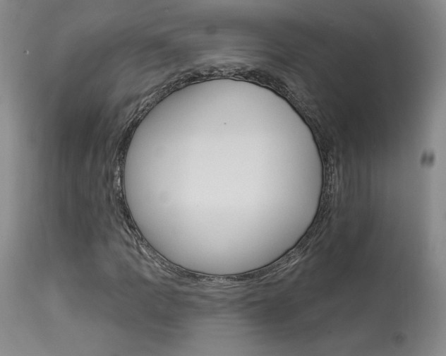 X0000114021109200910021010