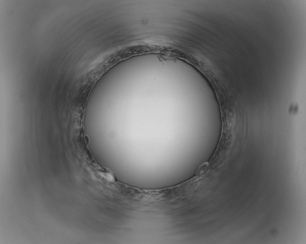 X0000114021110200910021010