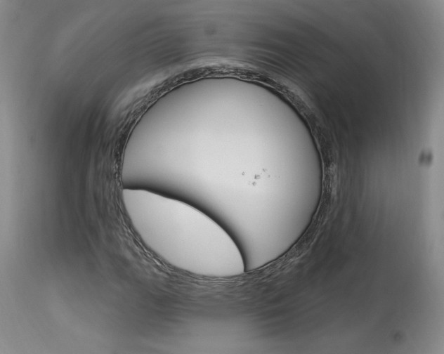 X0000114021111200910021010