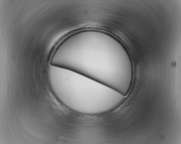 X0000114021115200910021010