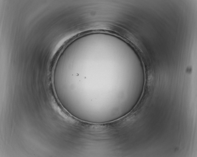 X0000114021116200910021010