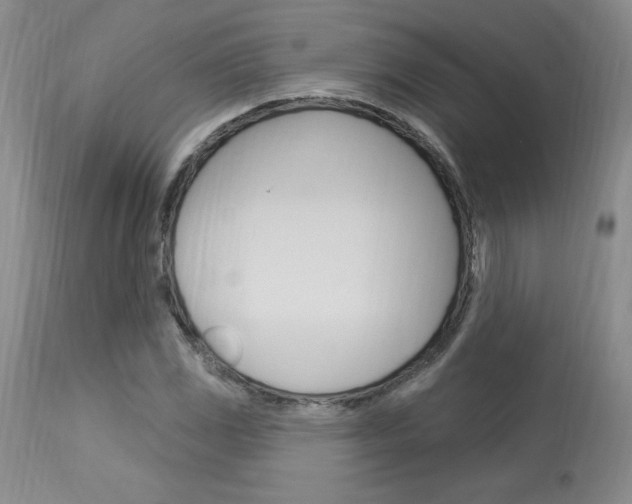 X0000114021117200910021010
