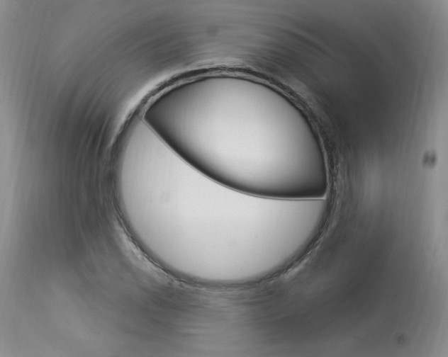X0000114021118200910021010