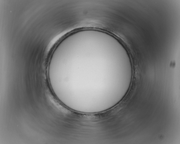X0000114021120200910021010