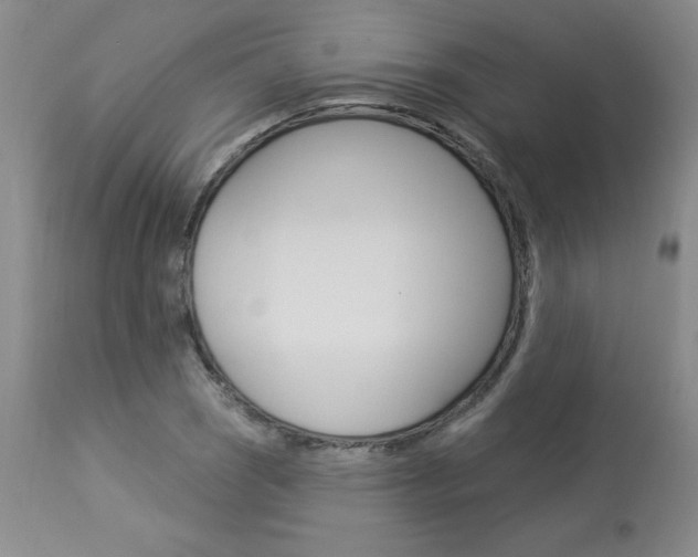 X0000114021121200910021010