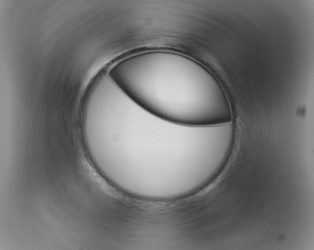 X0000114021122200910021010
