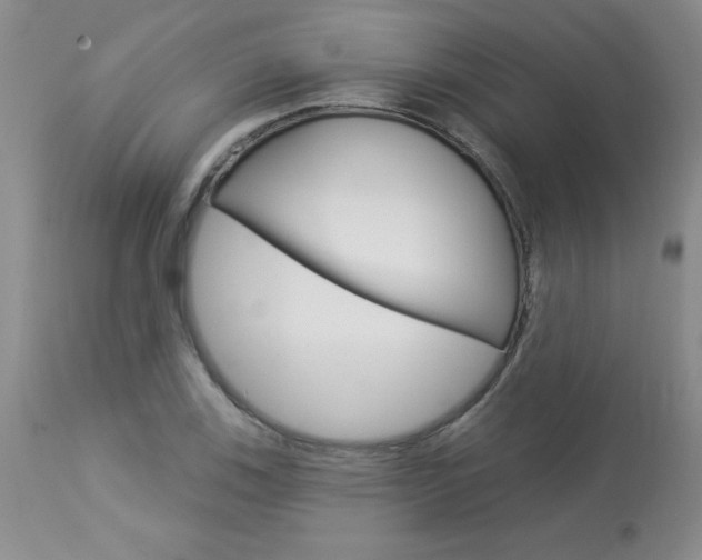 X0000114021123200910021010