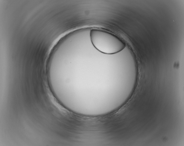 X0000114021124200910021010