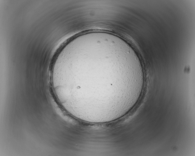 X0000114021125200910021010