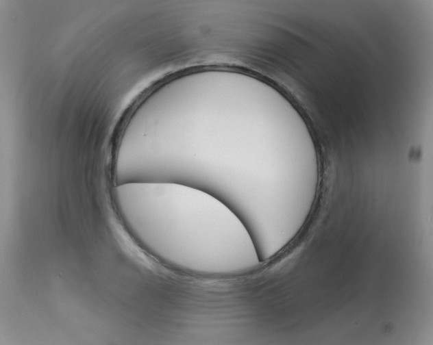 X0000114021126200910021010