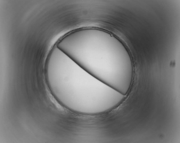 X0000114021127200910021010