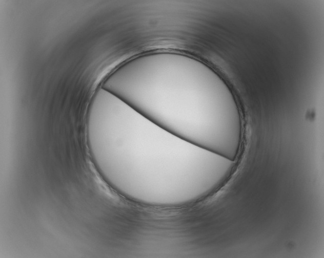 X0000114021129200910021010