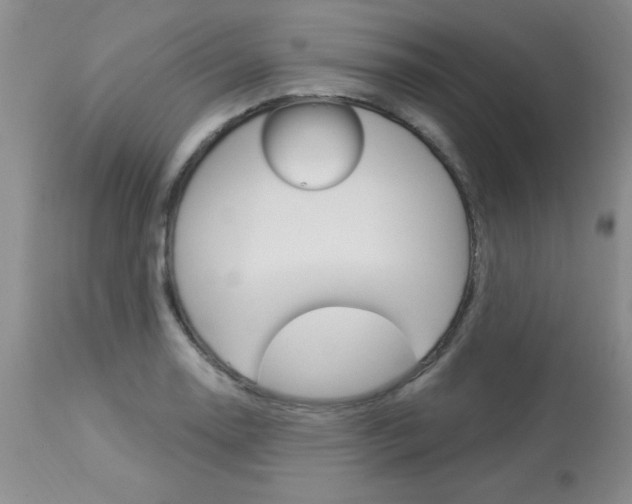 X0000114021130200910021010