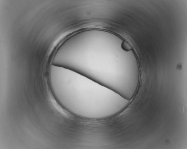 X0000114021131200910021010