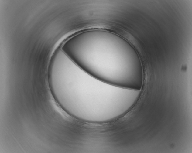 X0000114021132200910021010