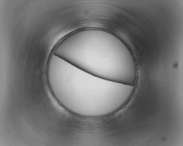 X0000114021133200910021010