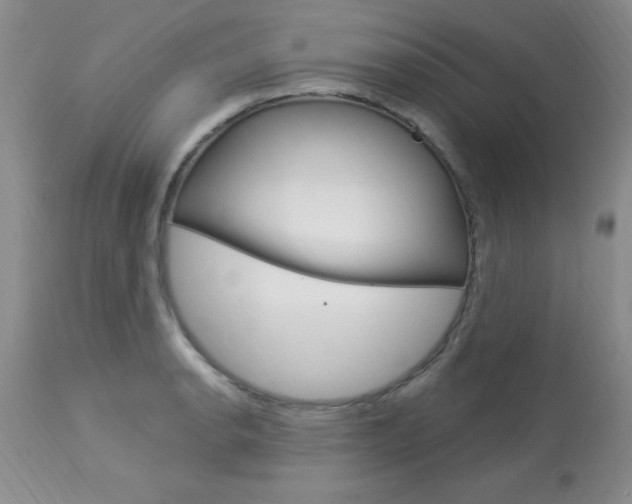 X0000114021134200910021010