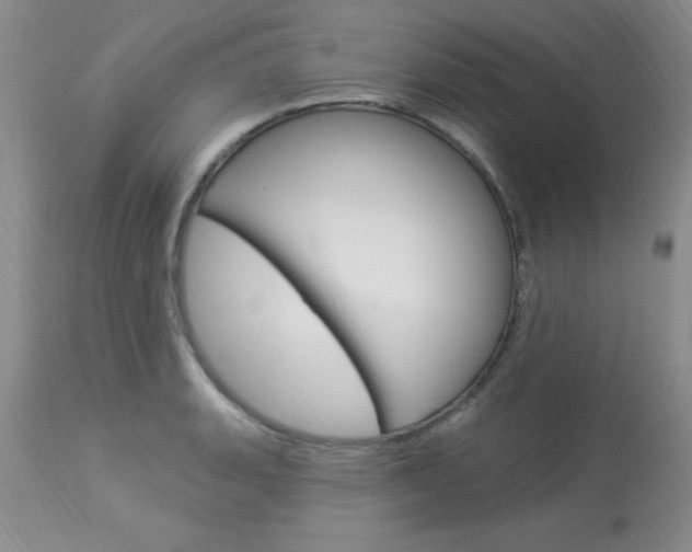 X0000114021135200910021010