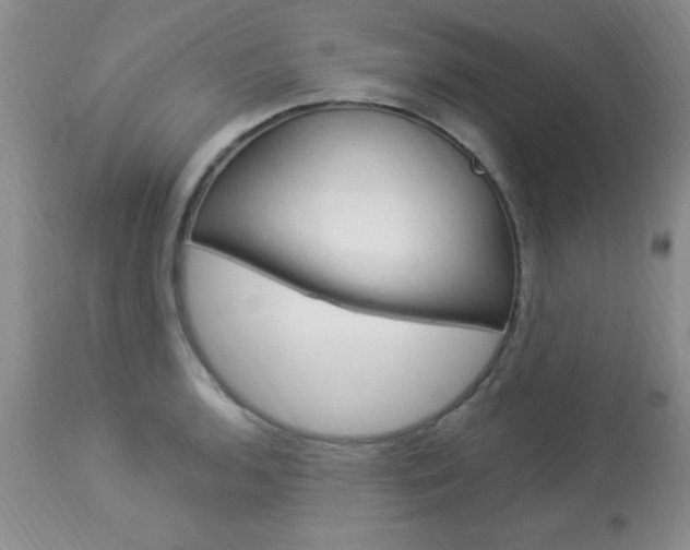 X0000114021136200910021010
