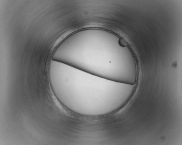 X0000114021137200910021010