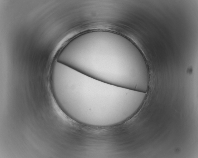 X0000114021139200910021010