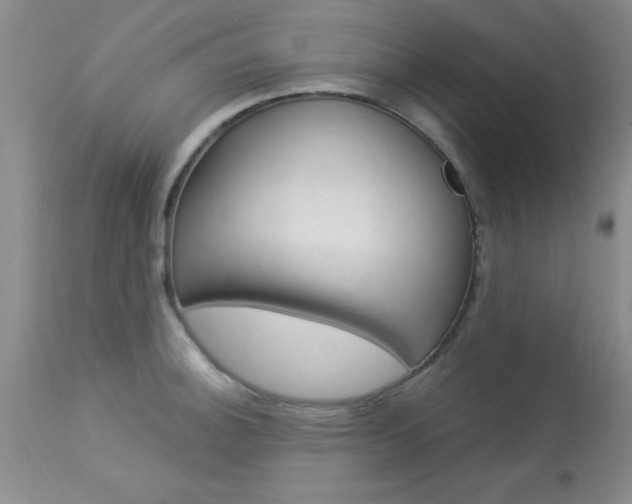 X0000114021140200910021010