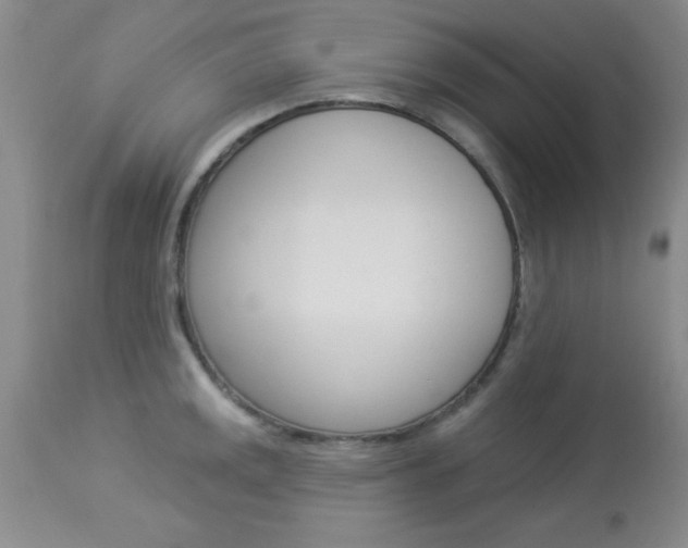 X0000114021141200910021010