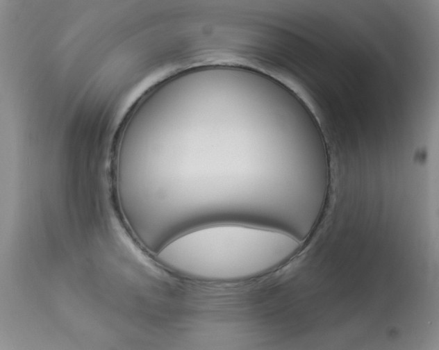 X0000114021142200910021010